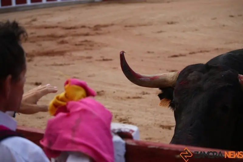 cortes goyescos (18)