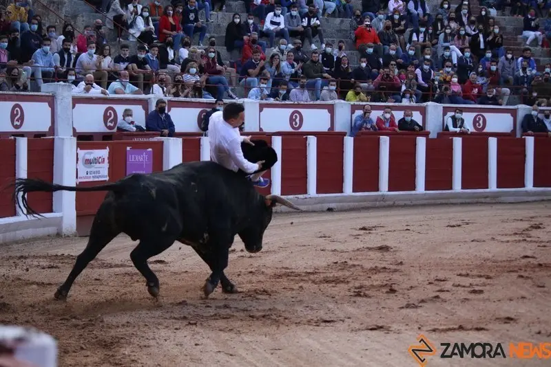 cortes goyescos (21)