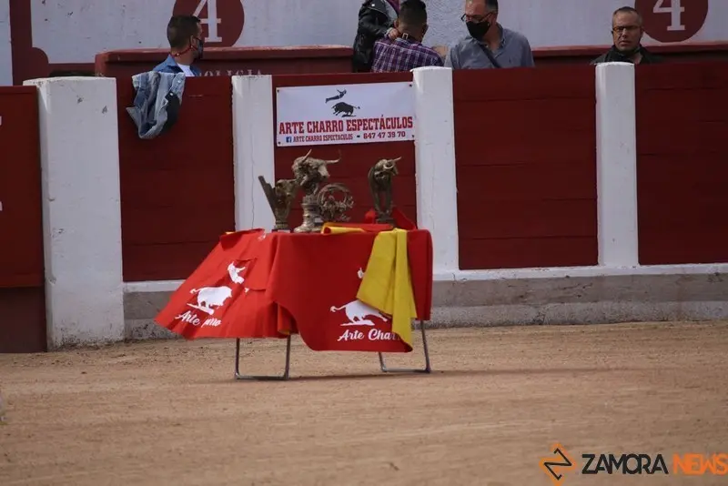 cortes goyescos (23)