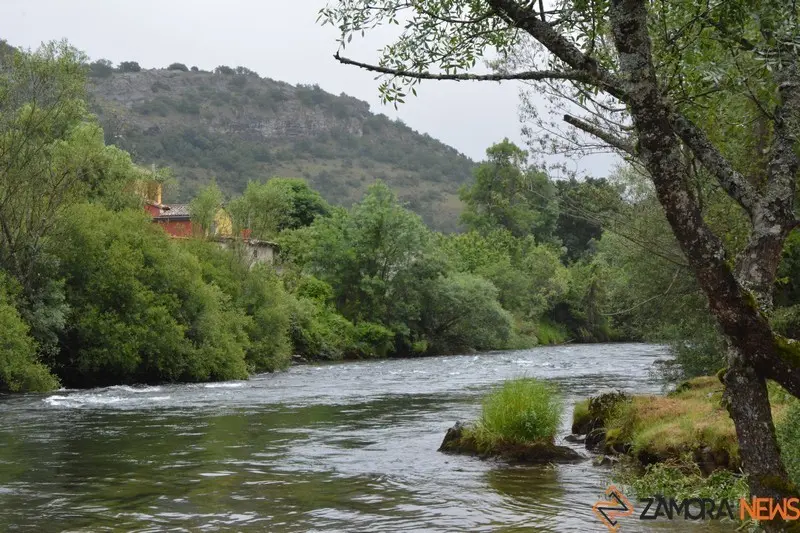 piraguas león Sabero alejico aguas bravas (61)