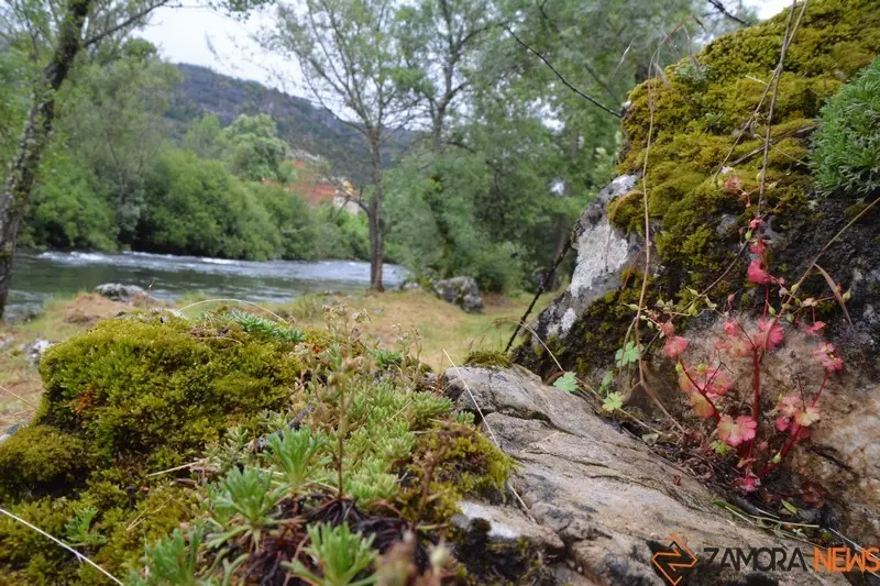 piraguas león Sabero alejico aguas bravas (62)