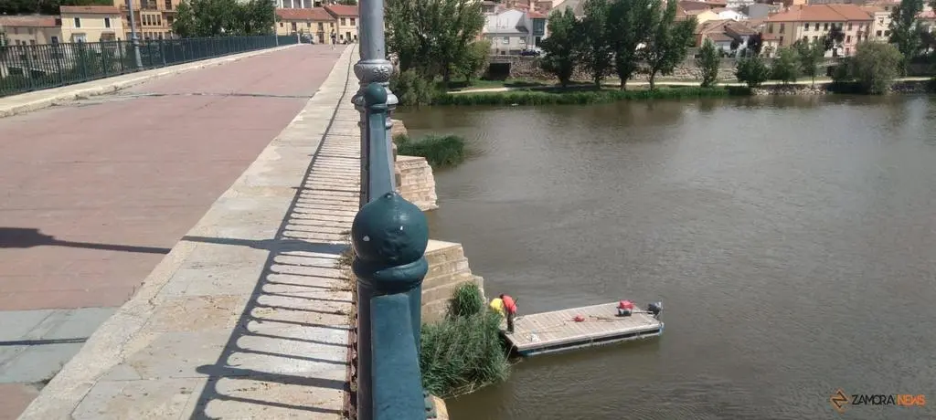 Limpieza del Puente de Piedra