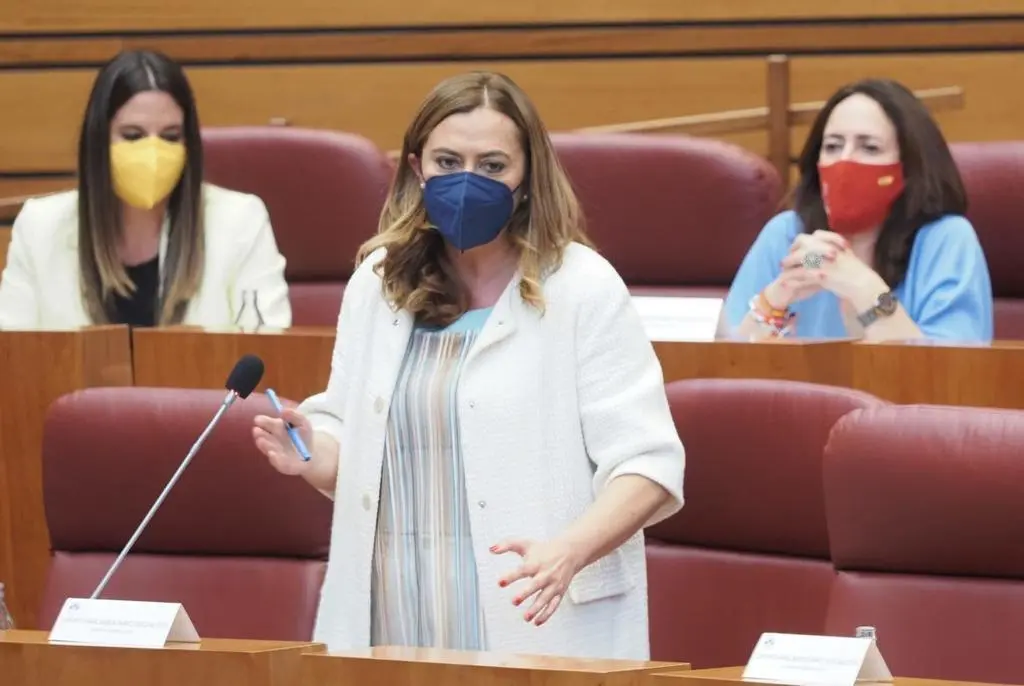 La viceportavoz del Grupo Parlamentario Socialista, Virginia Barcones