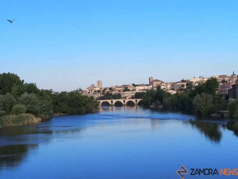 zamora buenos días paseo matutino  (35)