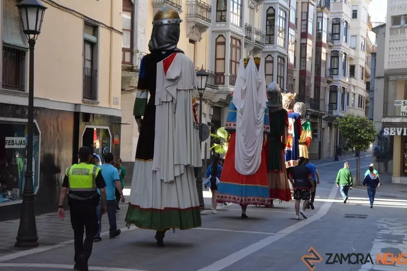 capitonis durii  (54)