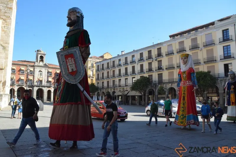 capitonis durii  (74)