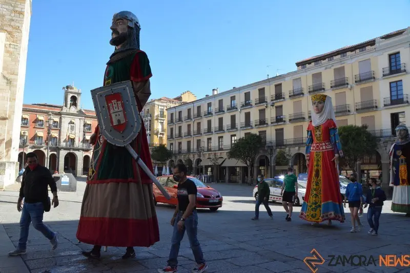 capitonis durii  (75)