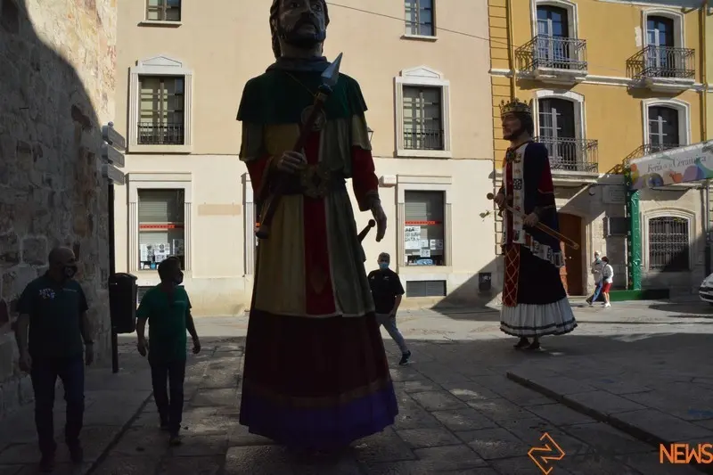 capitonis durii  (80)