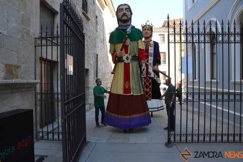 capitonis durii  (83)