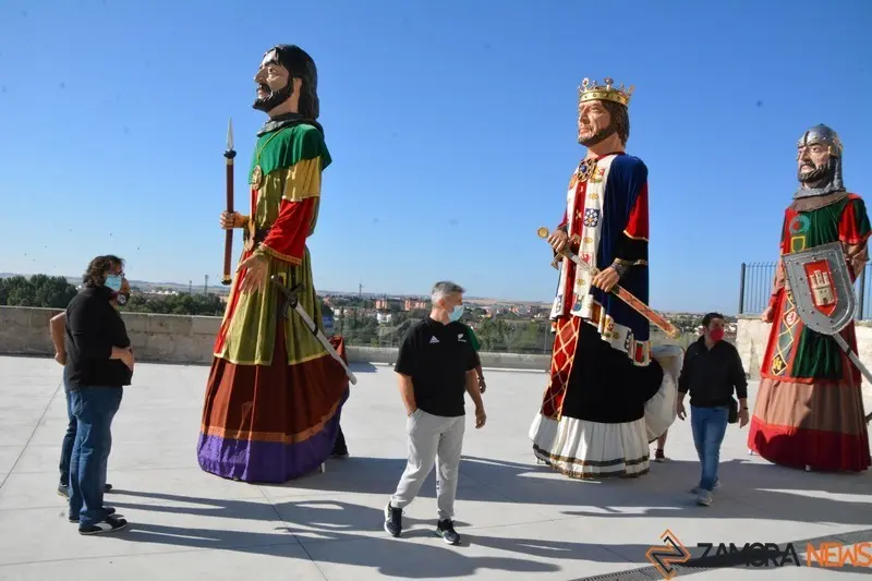 capitonis durii  (95)