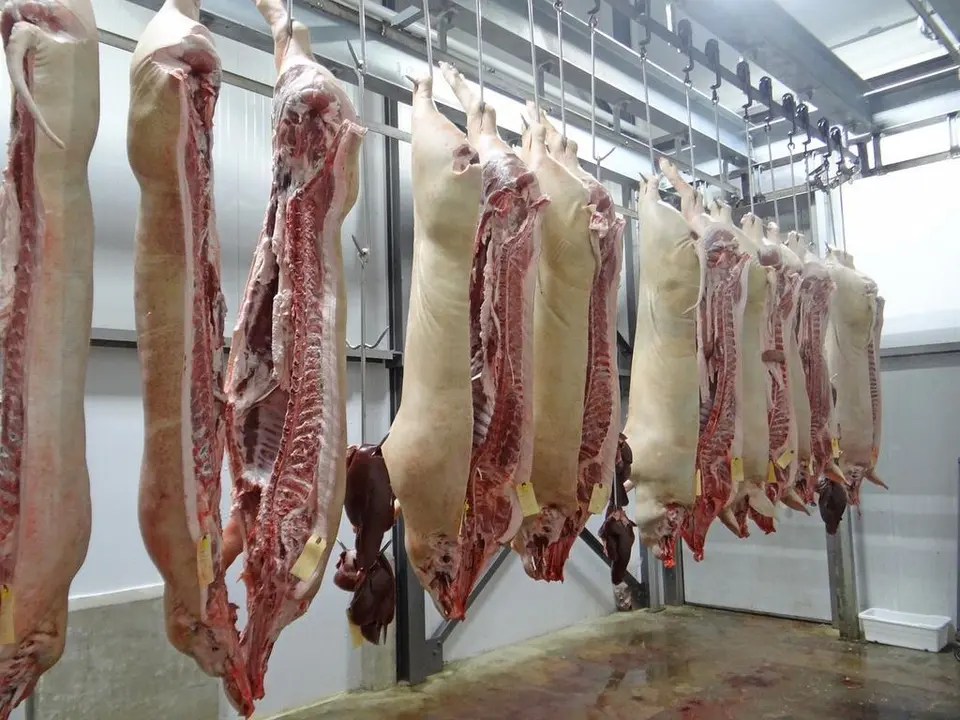 matadero
