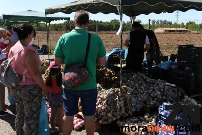 feria del ajo