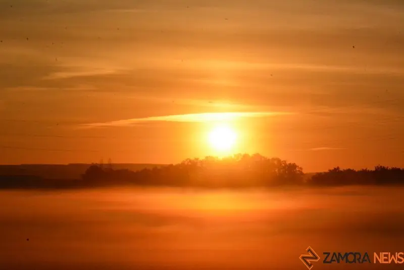 amanece zamora  (13)
