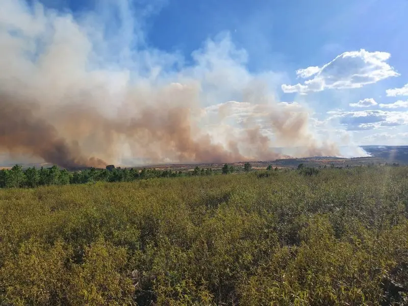 Fotografía de archivo durante uno de los incendios provocados en la anterior temporada