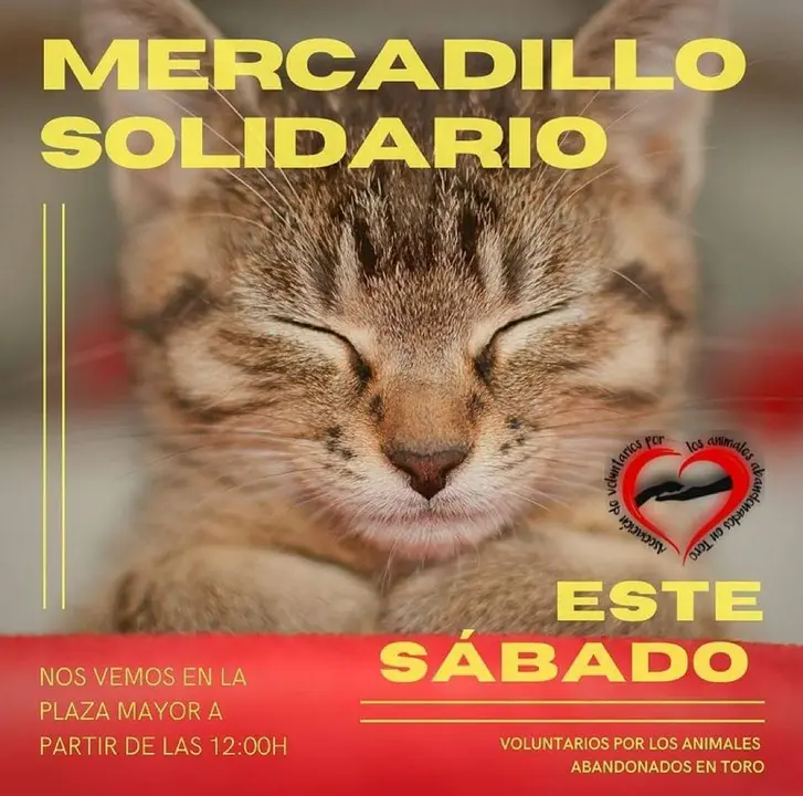 Cartel Mercadillo Solidario