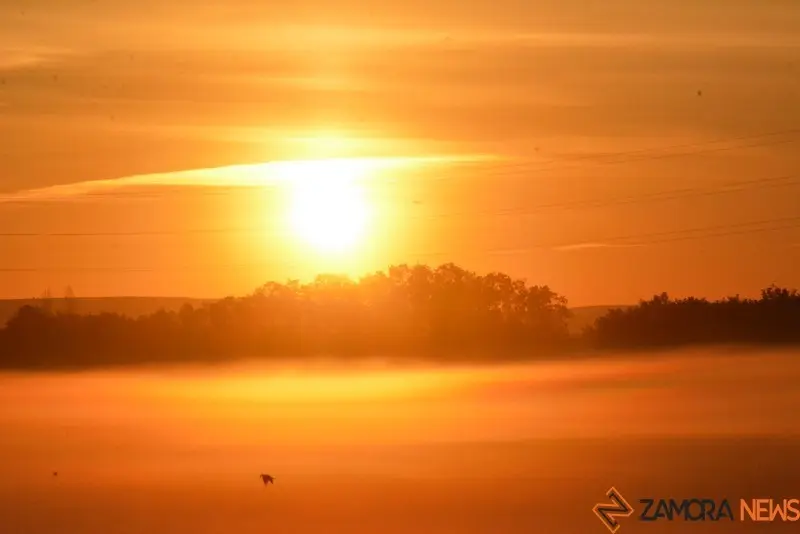 amanece zamora  (1)