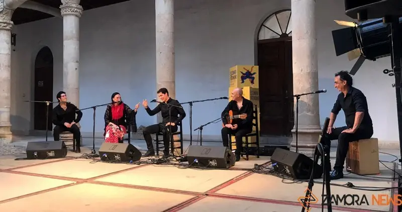 palacio condes de Requeña toro flamenco