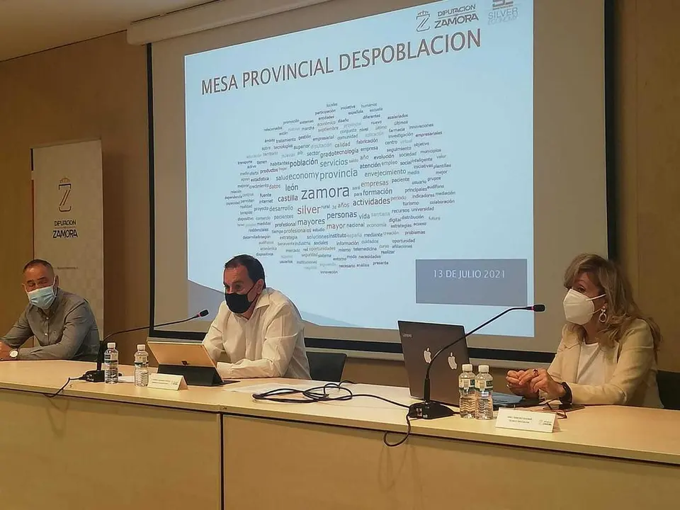 mesa provincial de la despoblación