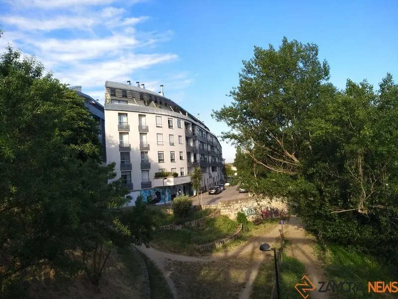 zamora buenos días paseo matutino  (17)