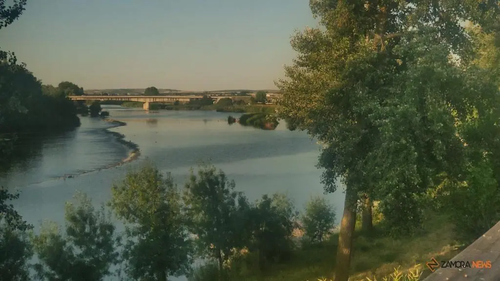 El puente de los Poetas al fondo