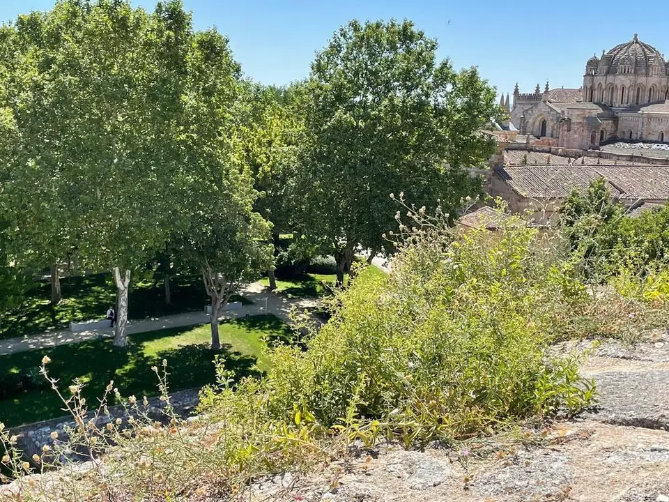 AbandonoCastillo (2)