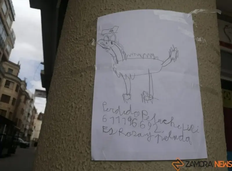 Dibujo del peluche perdido