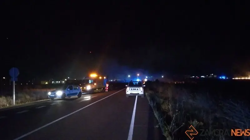 Llamas en la carretera de La Hiniesta