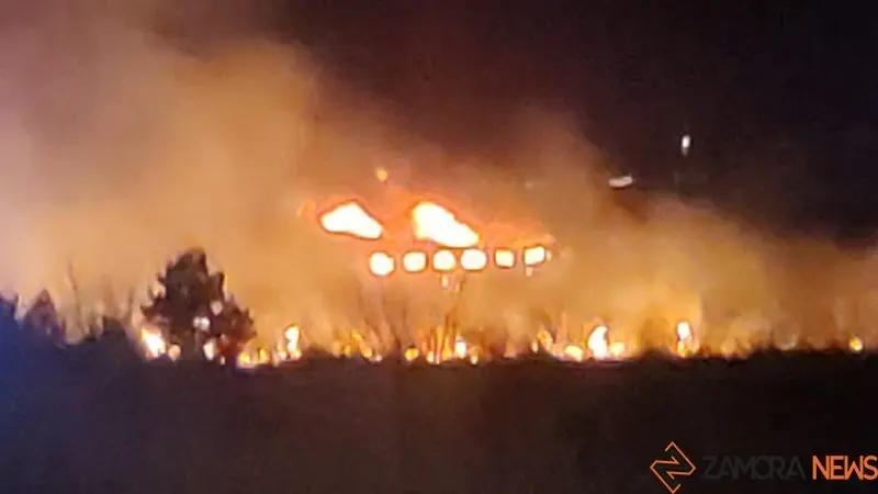 fuego la hiniesta zamora (18)