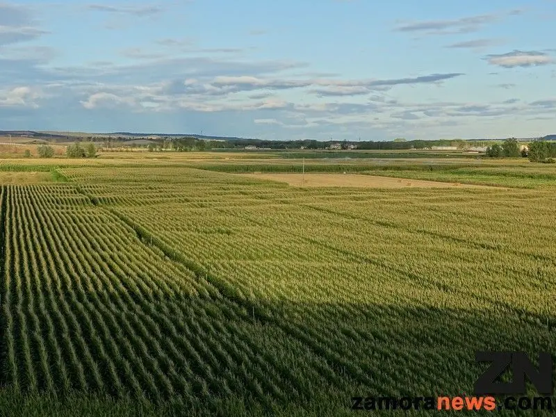 productos agrarios