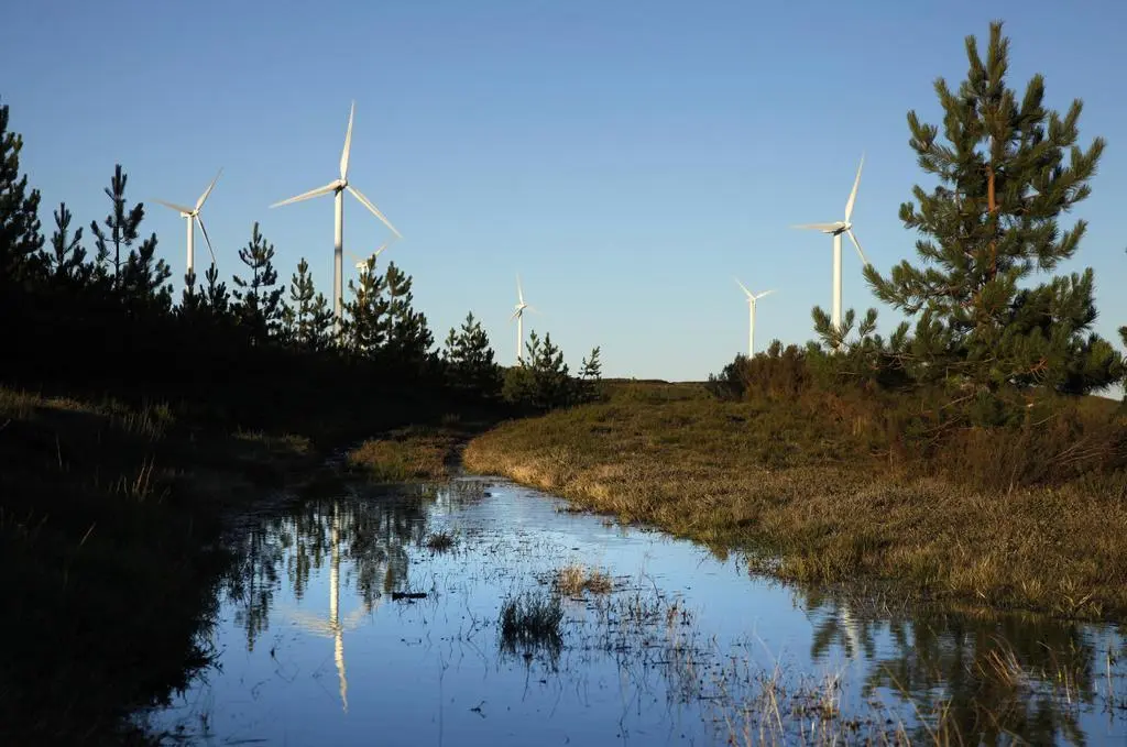 PE PENA DA CRUZ-SERRA DO BURGO (Ourense) IBERDROLA.2020