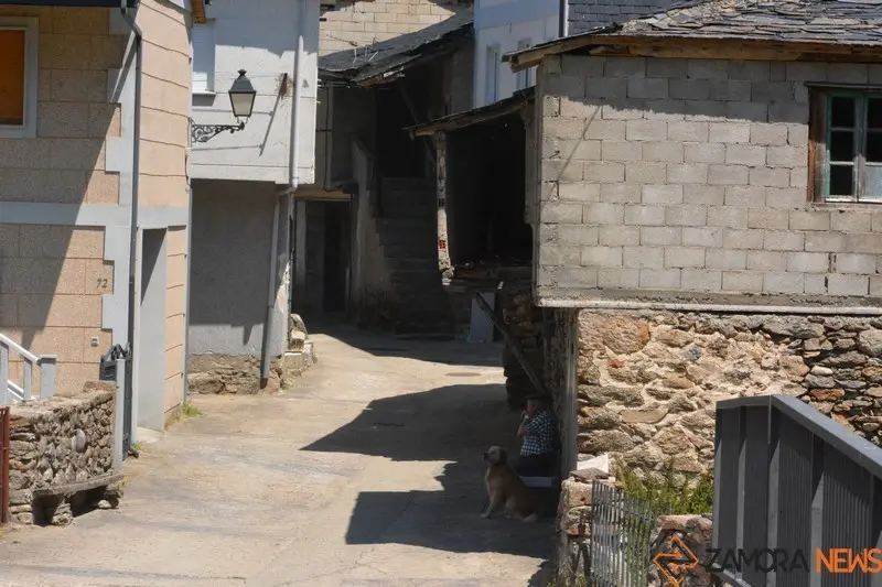 porto  (71)