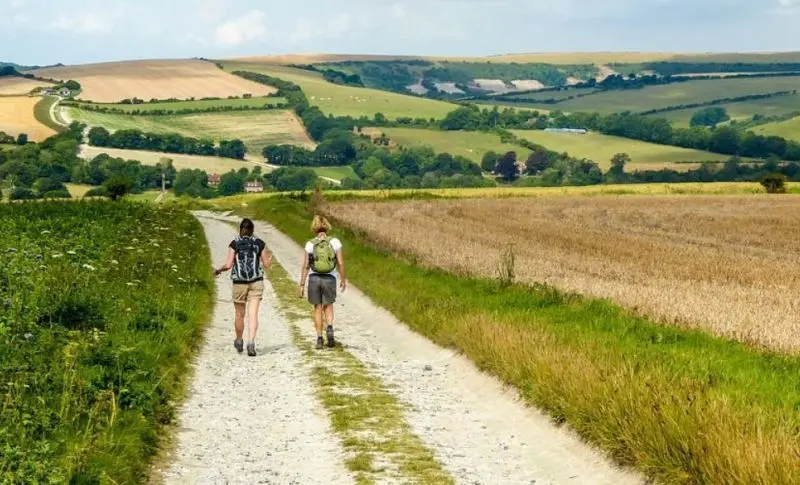 camino de santiago