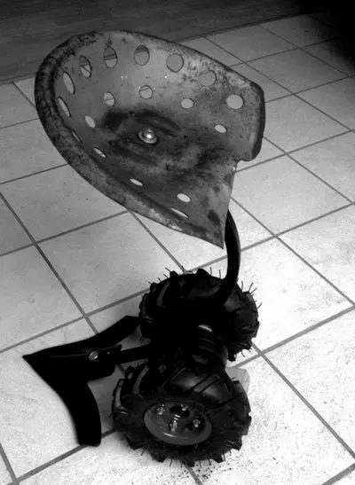 poesia visual