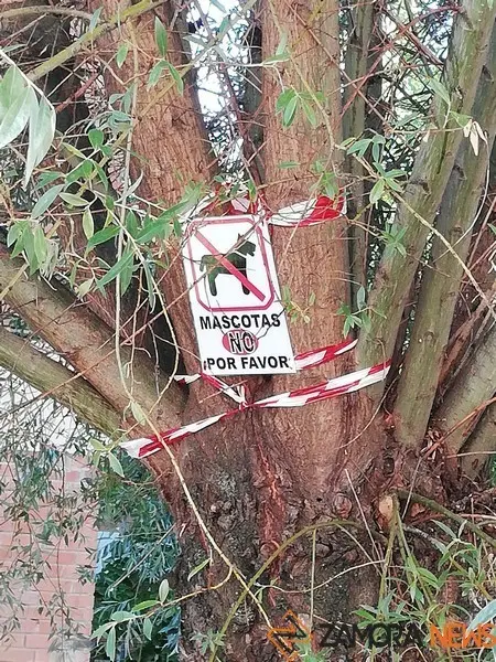 Carteles colocados en los árboles