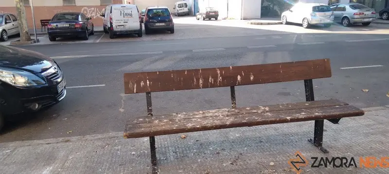 Aspecto que presenta el banco