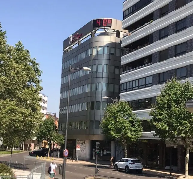 40 grados zamora