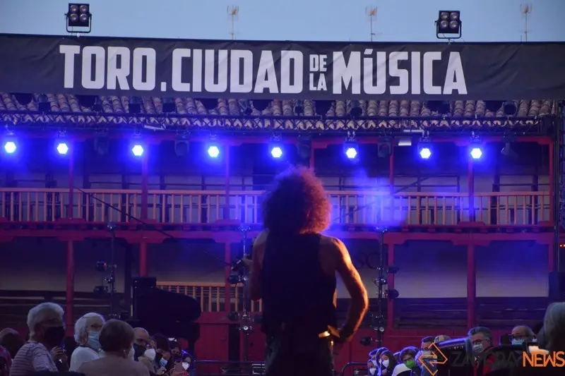 ara malikian toro (9)