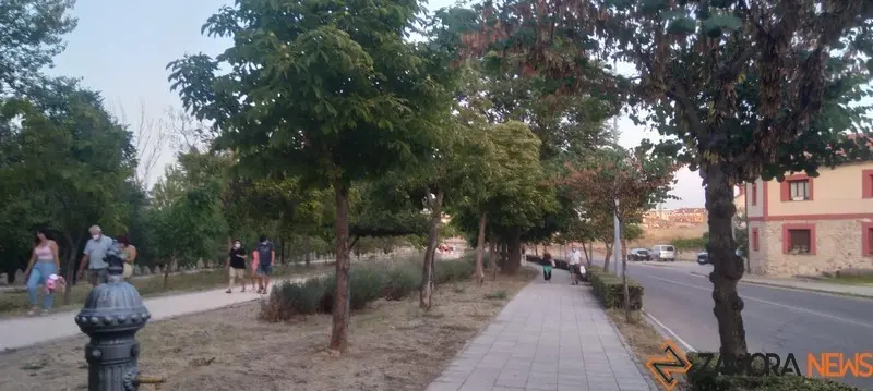 gente paseando bajo la sombra de los &aacute;rboles