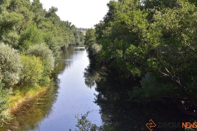 Santa Eulalia del Río Negro