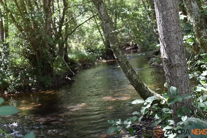 santivañez de tera (12)