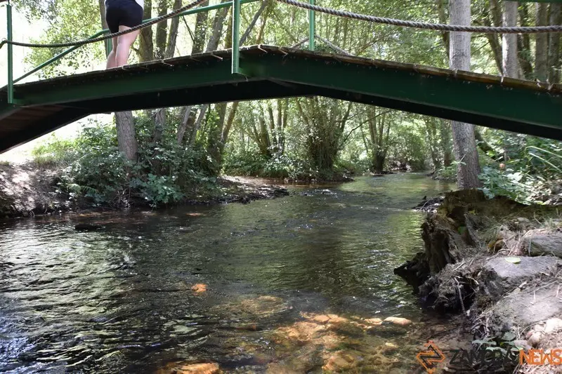 santivañez de tera (13)