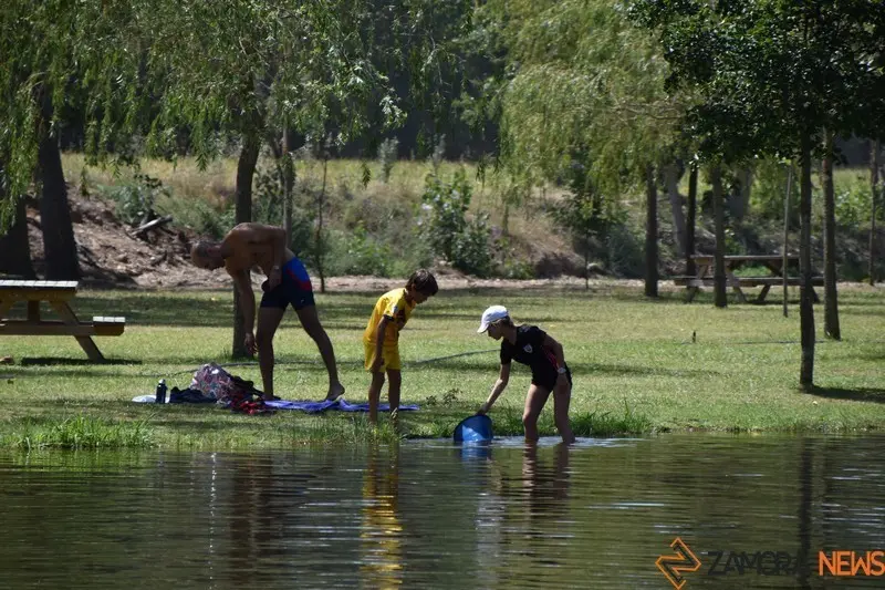 santivañez de tera (20)