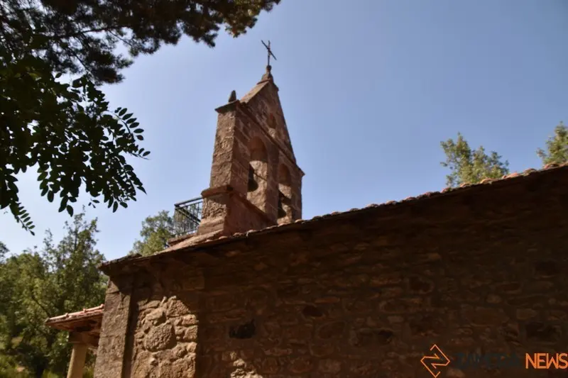 sejas (2)
