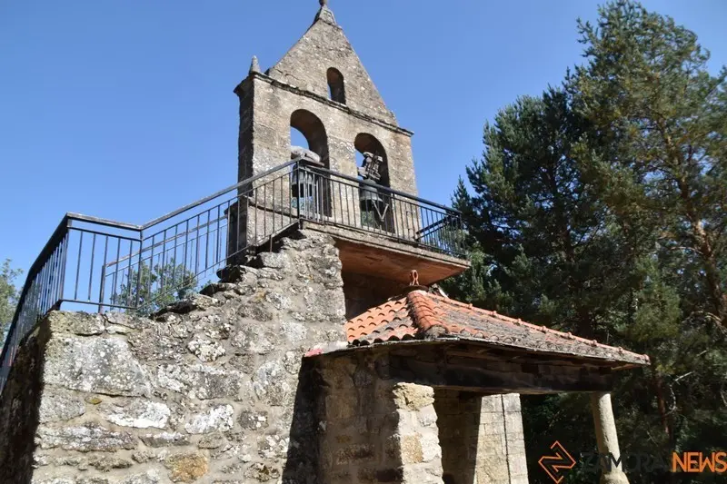 sejas (3)