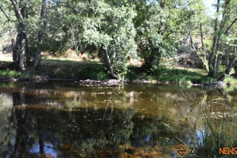 Imagen de Sejas de Sanabria