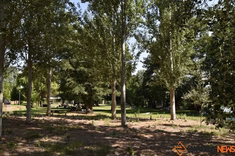 pumarejo y camarzana (1)