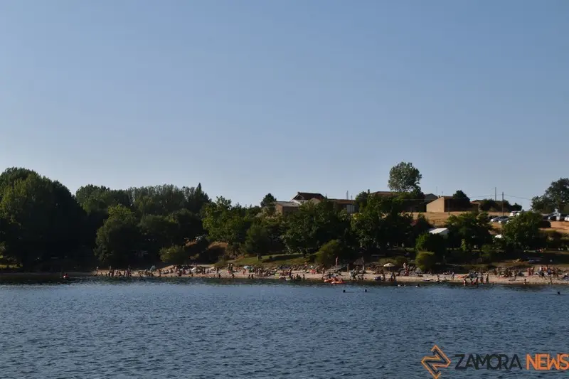 cional (3)