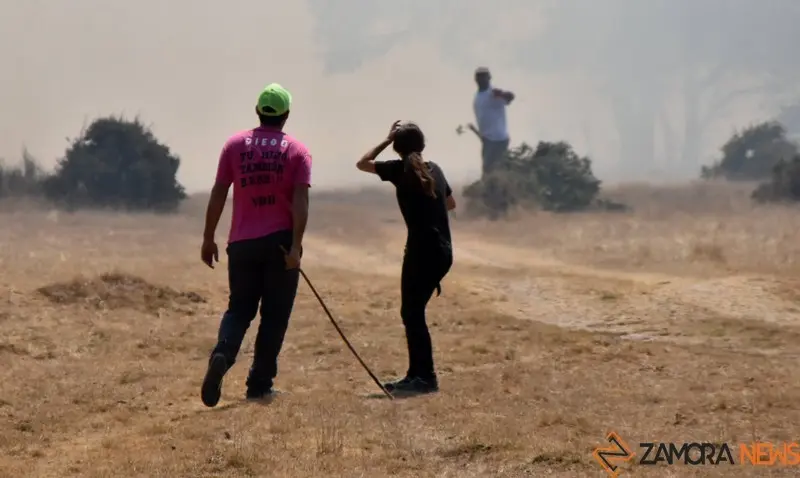 fuego sayago