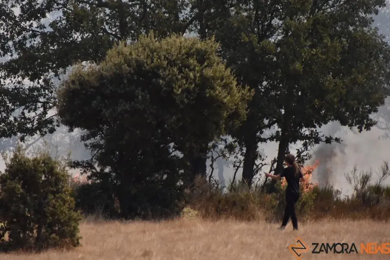 fuego fresnadillo  (3)