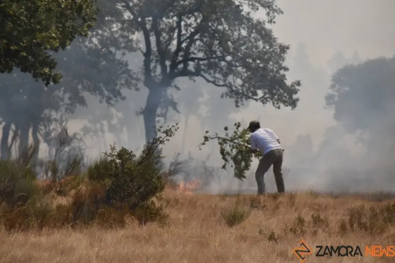 fuego fresnadillo  (6)